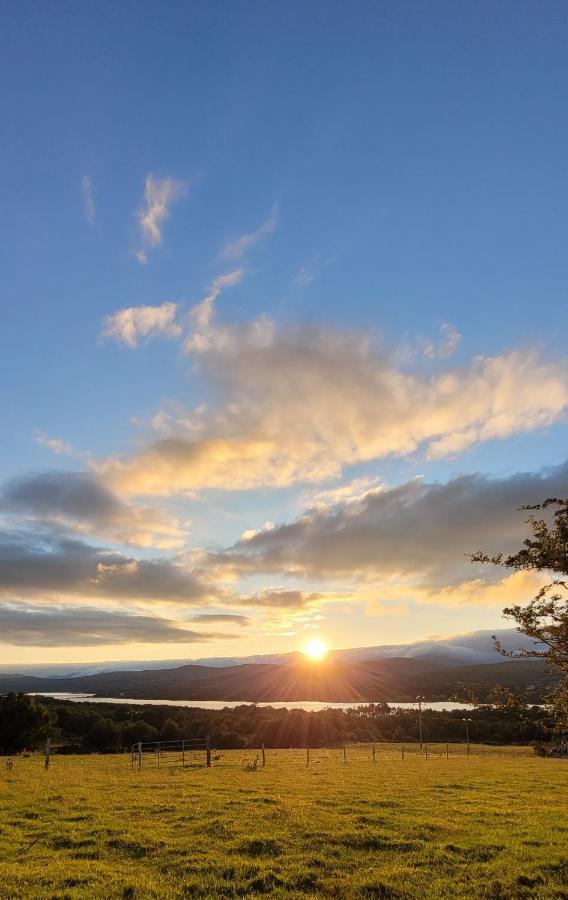 Oaklane Glamping Cabins Kenmare Exteriör bild
