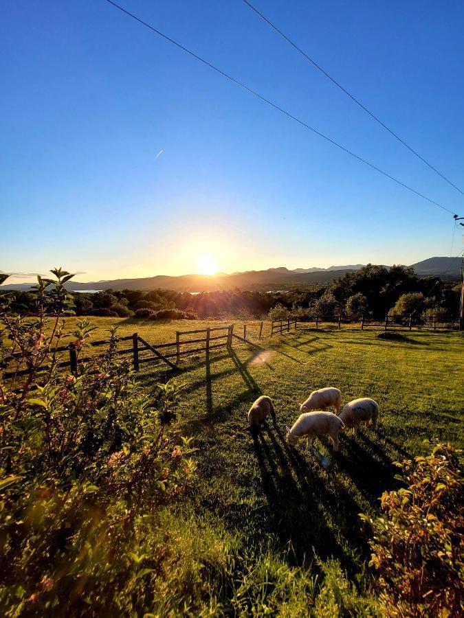Oaklane Glamping Cabins Kenmare Exteriör bild