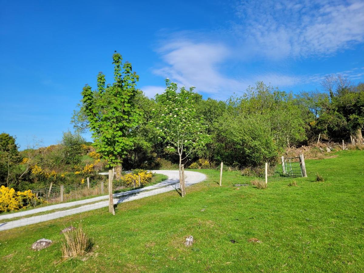 Oaklane Glamping Cabins Kenmare Exteriör bild