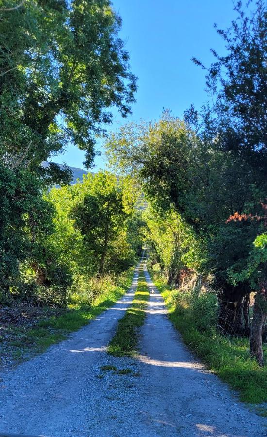 Oaklane Glamping Cabins Kenmare Exteriör bild