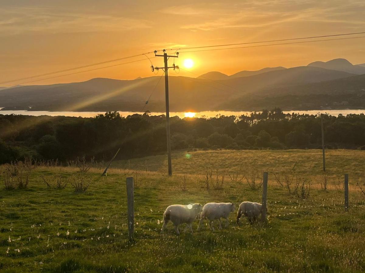 Oaklane Glamping Cabins Kenmare Exteriör bild